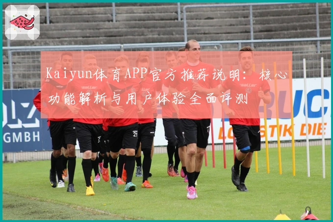 Kaiyun体育APP官方推荐说明：核心功能解析与用户体验全面评测